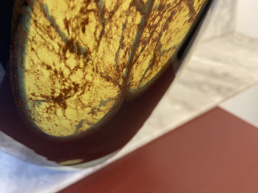 Black swirl sun - glass vase Homeware Days of Tumult 