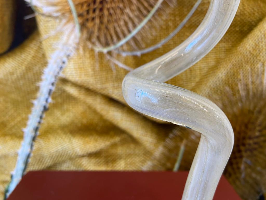 Glass vase - dripfoot Homeware Days of Tumult 