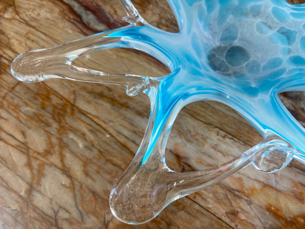 Spider beauty - glass bowl Homeware Days of Tumult 